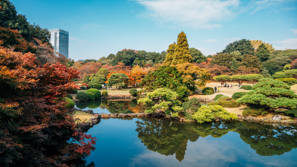 Tokyo Sightseeing