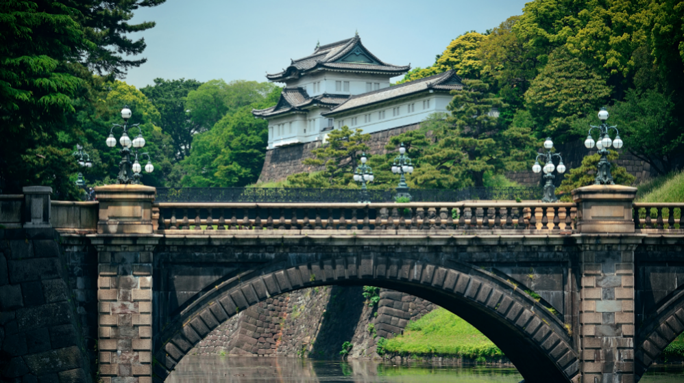2025春の新作 Tokyo Sightseeing 絵本・児童書
