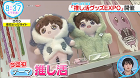 日本テレビ「ZIP!」