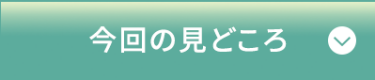 今回の見どころ