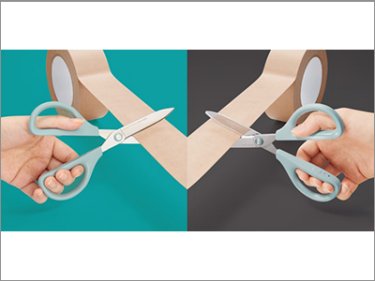 Scissors SAXA Non-stick blade