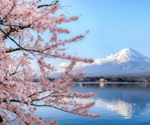 インバウンド ～日本のお土産～ 特集